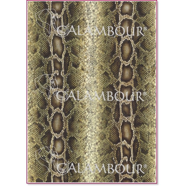   Calambour -   3 -   Ethnic - 