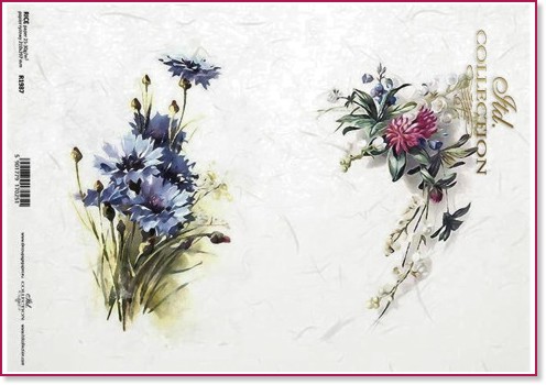 ��������� ������ ITD Collection - ��������� � �������� - A4 - 