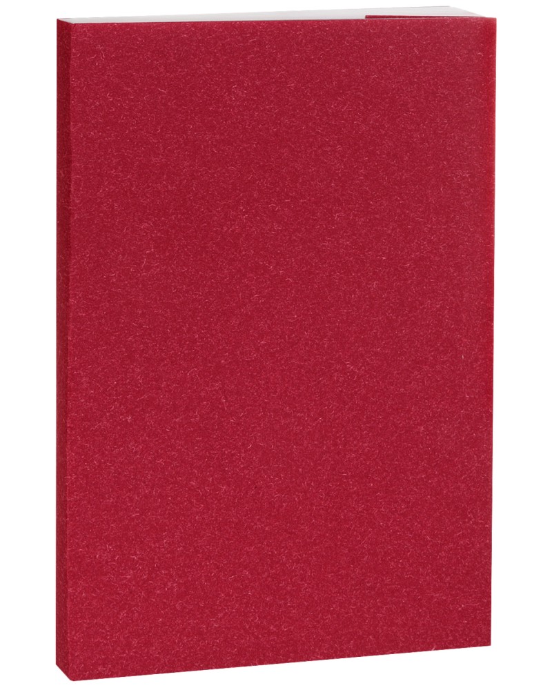 ������� � ������ ������ ���������� Particles - 80 �����, B5, 80 g/m<sup>2</sup> - 