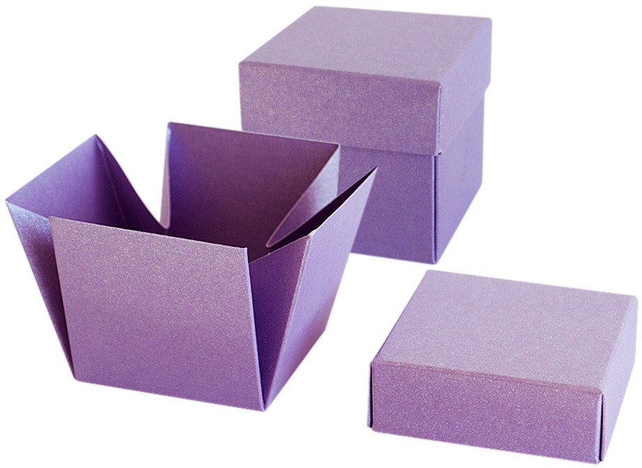 ����� �� ������ � ������ ����� ���������� - 5 ���� - 