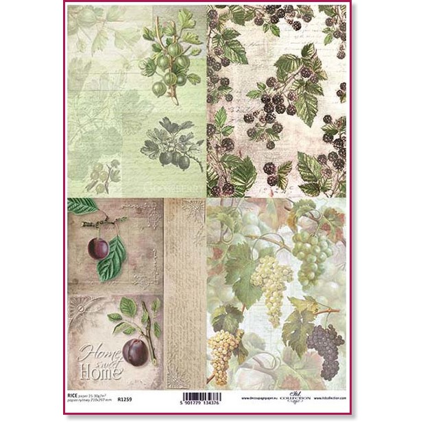   ITD Collection -  - A4 - 