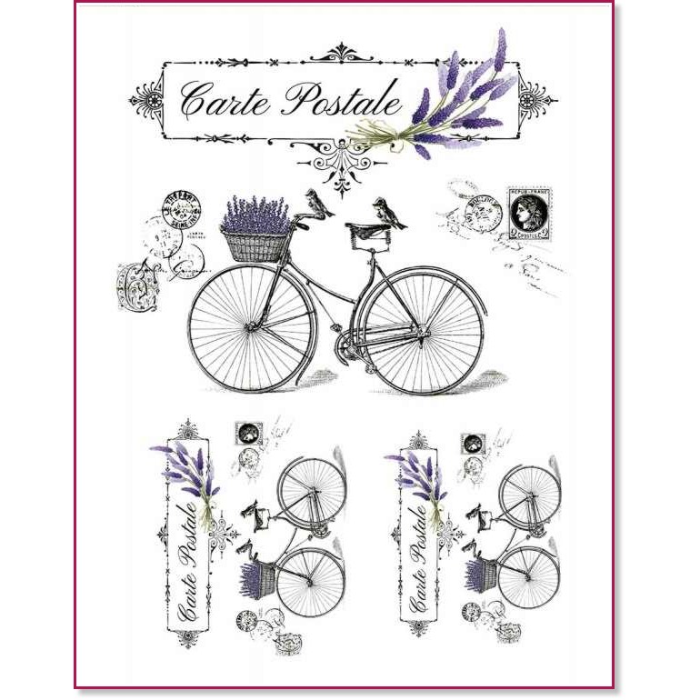 ���������� ��������� �� ������� CADENCE - ������ - 21 x 30 cm - 