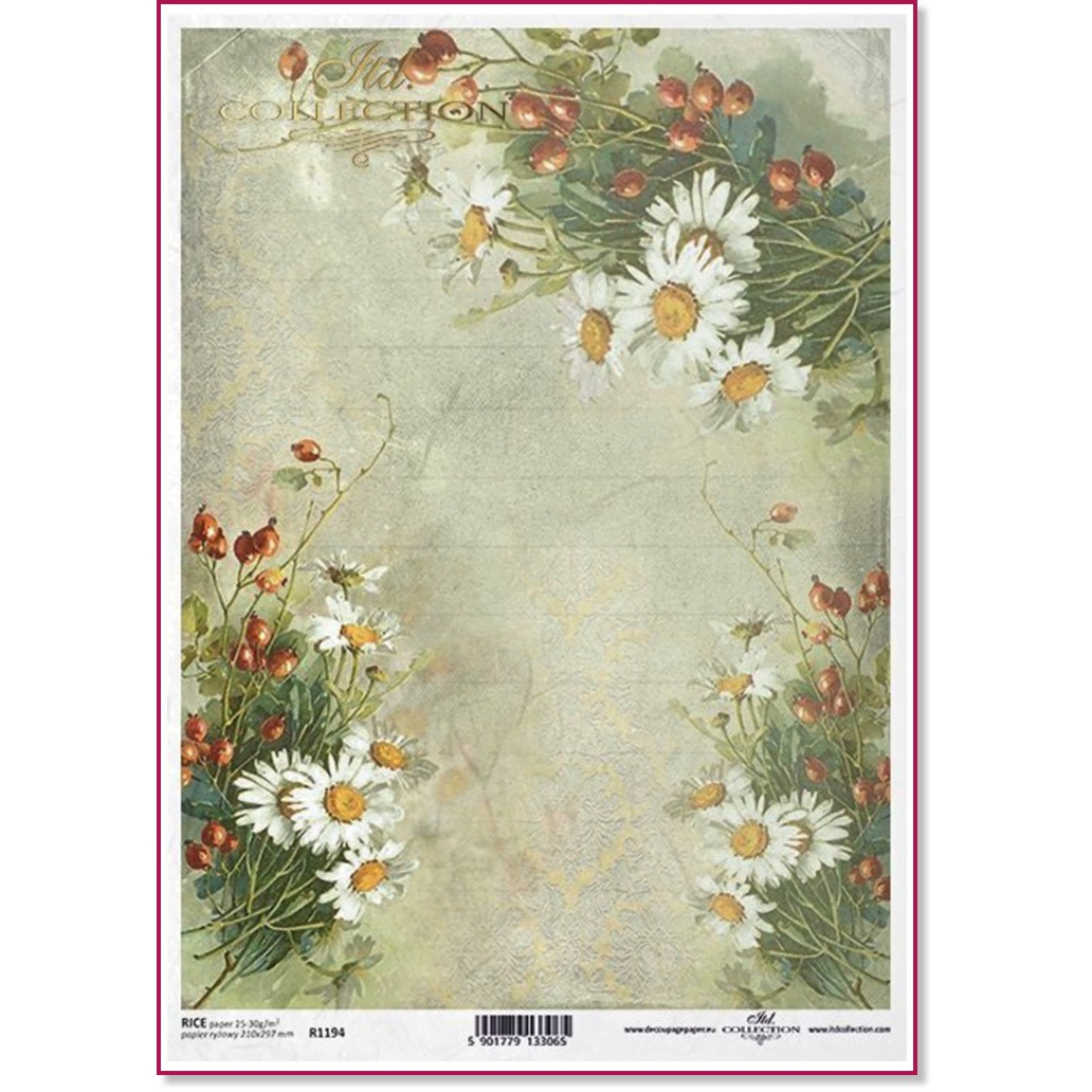 ��������� ������ ITD Collection - ����� � ����� - A4 - 