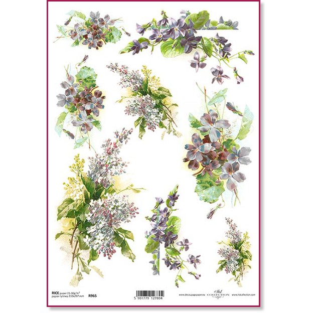   ITD Collection -    - A4 - 