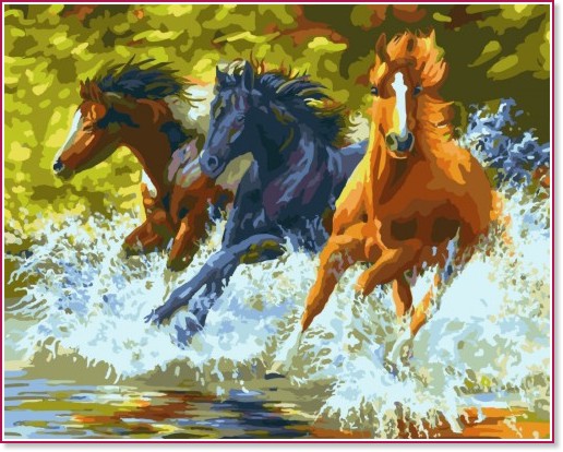 �������� �� ������ PaintBoy - ���� - 50 x 40 cm - 