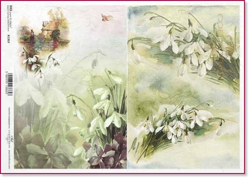 ��������� ������ ITD Collection - �������� - A4 - 