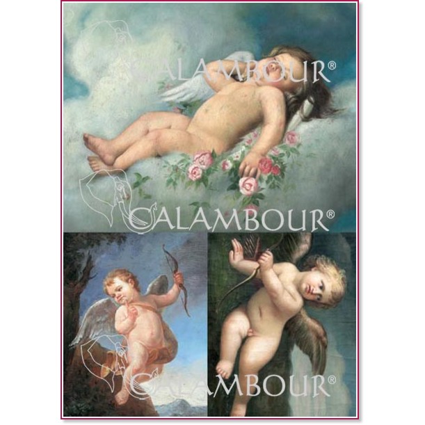  Calambour -  -   PAU - 