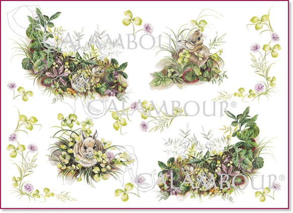   Calambour -  91 -   Digital Collection Mulberry - 