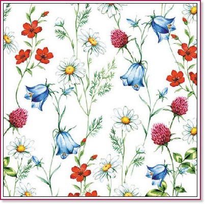 �������� �� ������� Ambiente - ���� ����� - 20 ���� - 