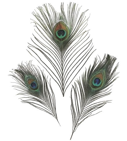 ����������� ������� ���� KPC - 3 ���� � ������� 20 cm - 