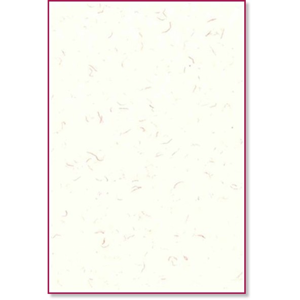    Silk - 25 , A4, 216 g/m<sup>2</sup> - 