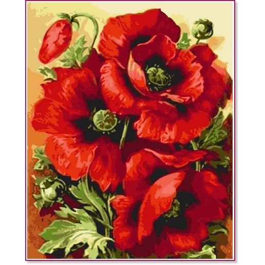 �������� �� ������ PaintBoy - ������ - 40 x 50 cm - 