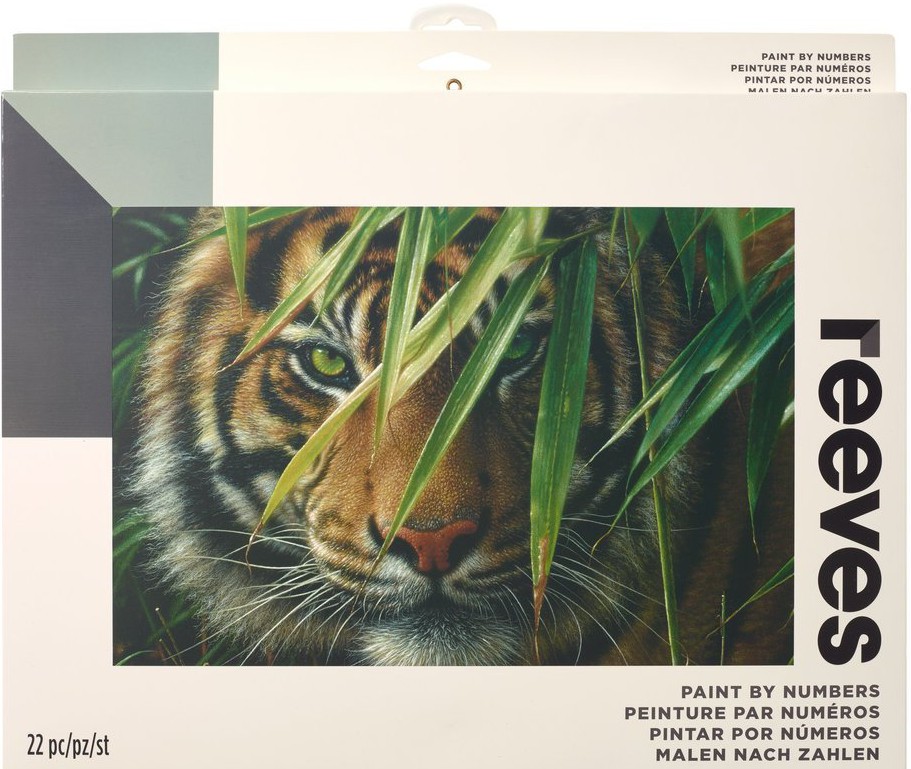 �������� �� ������ Reeves - ����� - 40 x 30 cm - 