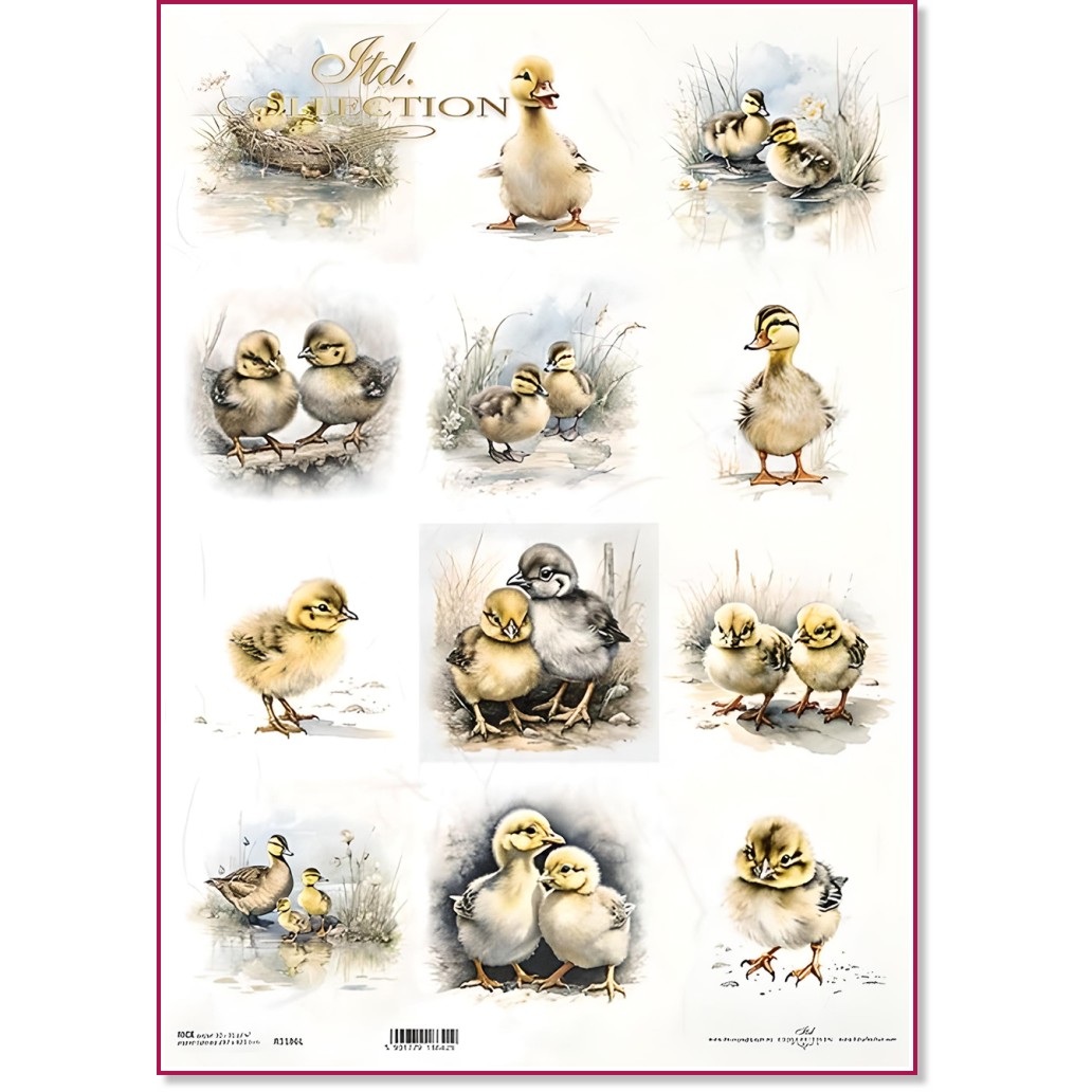   ITD Collection -  - A3 - 