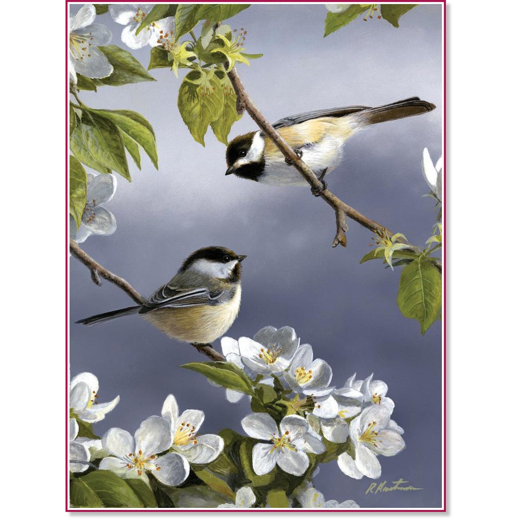 �������� �� ������ Reeves - ����� - 22.5 x 30.5 cm - 