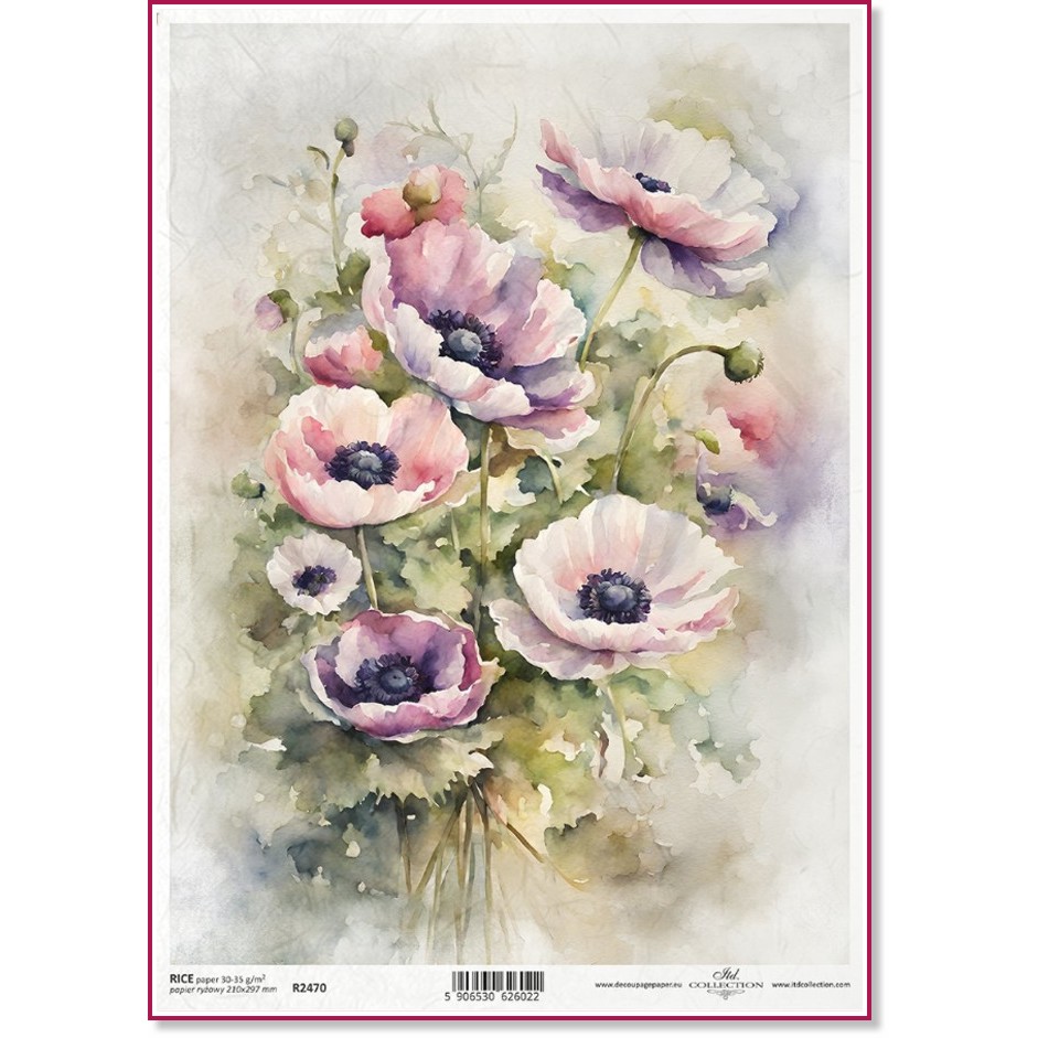   ITD Collection -   - A4 - 