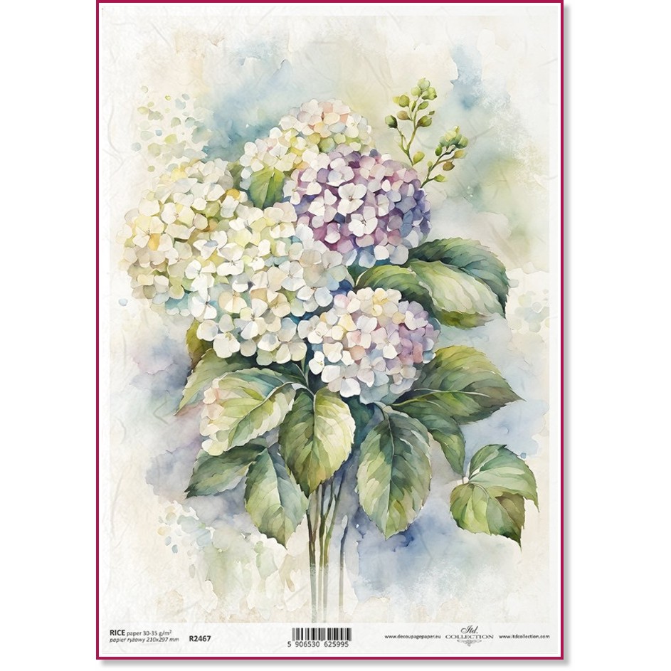   ITD Collection -  - A4 - 