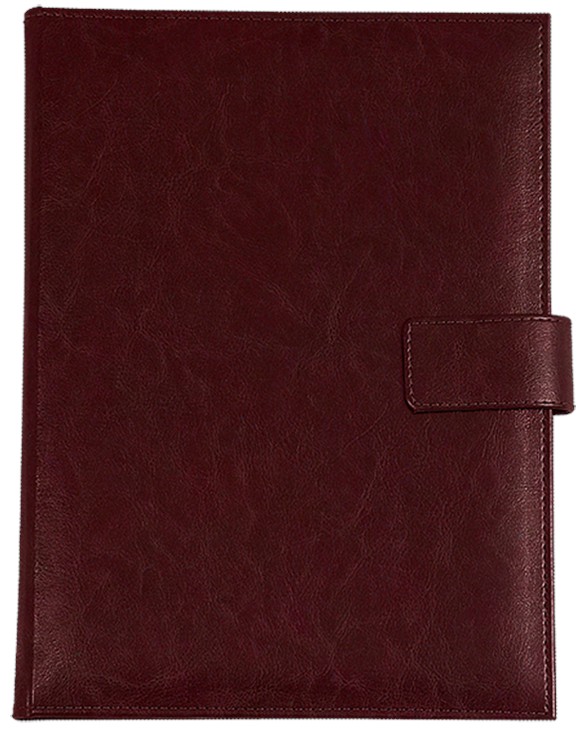 ������ � ������ ��������� Precision - A5, � ������ �� ������� Novaskin - ������