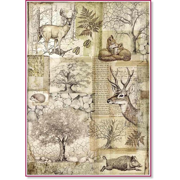 ��������� ������ Stamperia - ������ ������ - A4 �� ���������� Forest - 