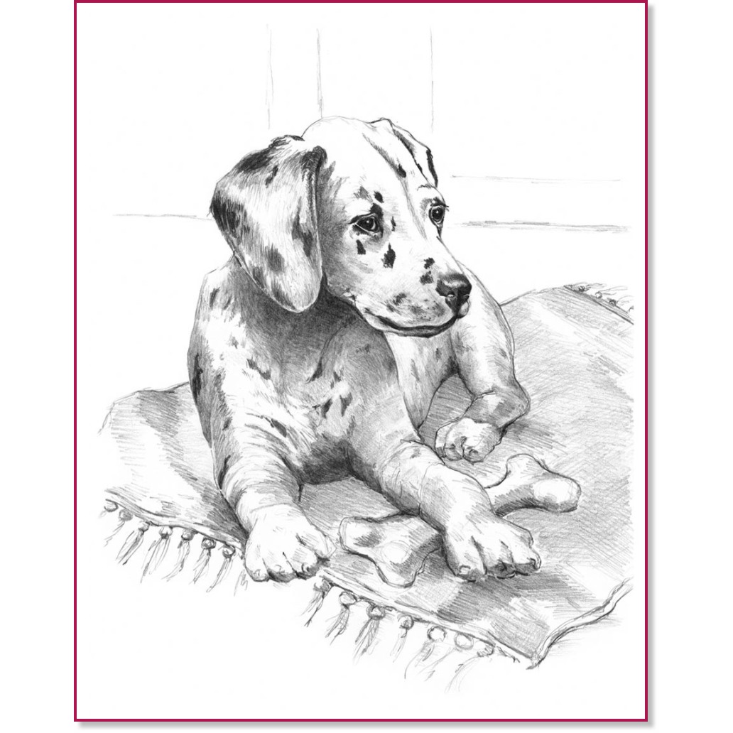 Рисуване по номера Royal & Langnickel - Далматинец Рисуване по номера Royal & Langnickel - Далматинец - 23 x 30 cm с графични моливи -