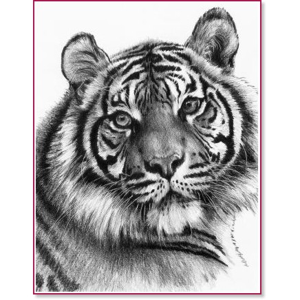 �������� �� ������ Royal & Langnickel - ����� - 30 x 23 cm � �������� ������ - 