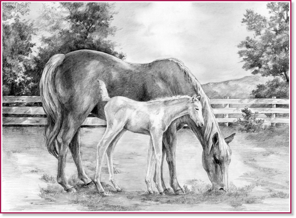 �������� �� ������ Royal & Langnickel - ���� - 39 x 29 cm � �������� ������ - 