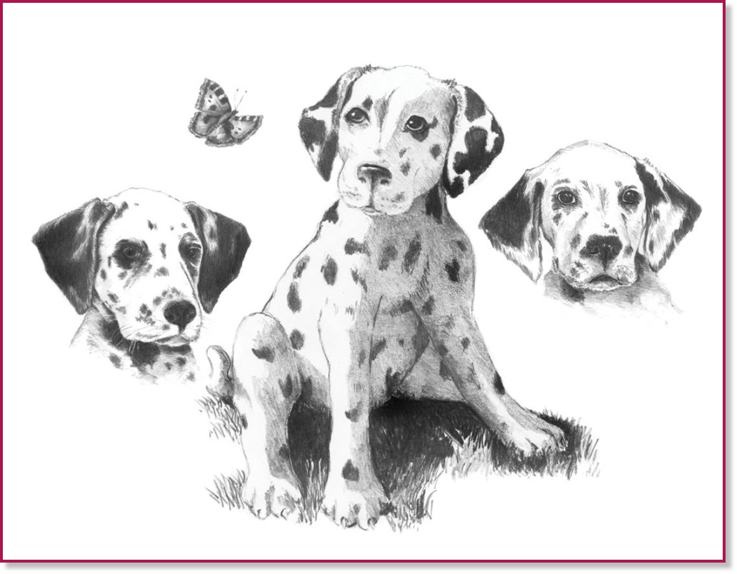 �������� �� ������ Royal & Langnickel - ���������� - 39 x 29 cm � �������� ������ - 