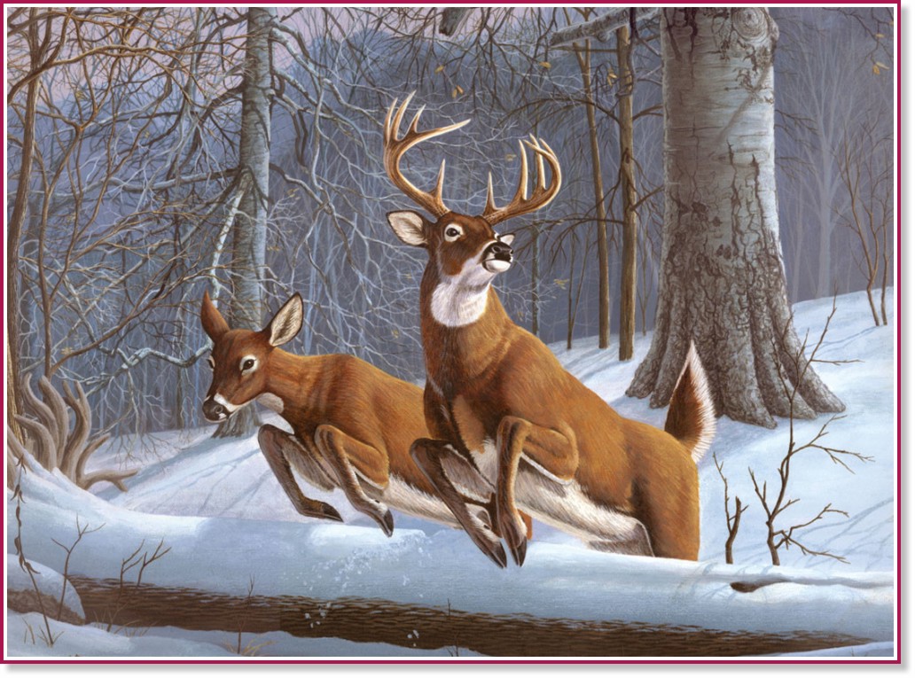 �������� �� ������ Royal & Langnickel - ����� - 39 x 30 cm - 