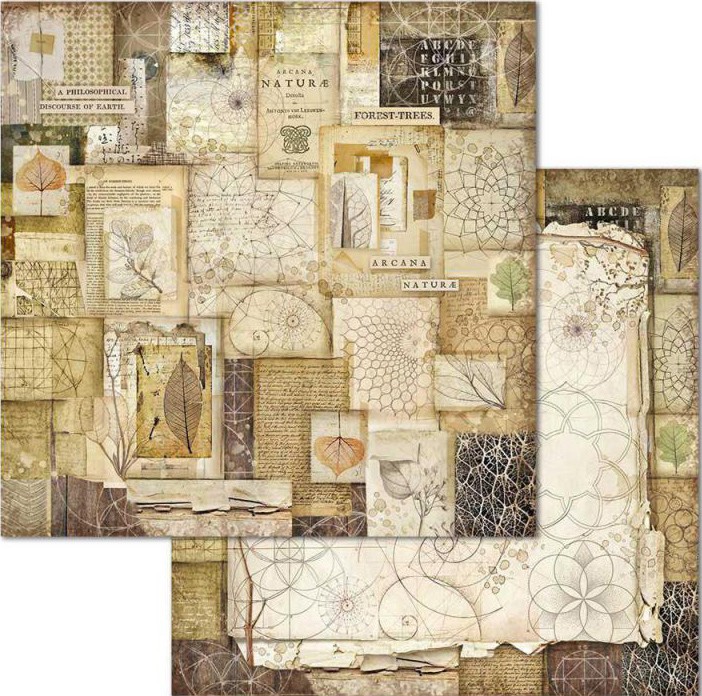 ������ �� ����������� Stamperia - ����� � ����� - 30.5 x 30.5 cm �� ���������� Forest - 