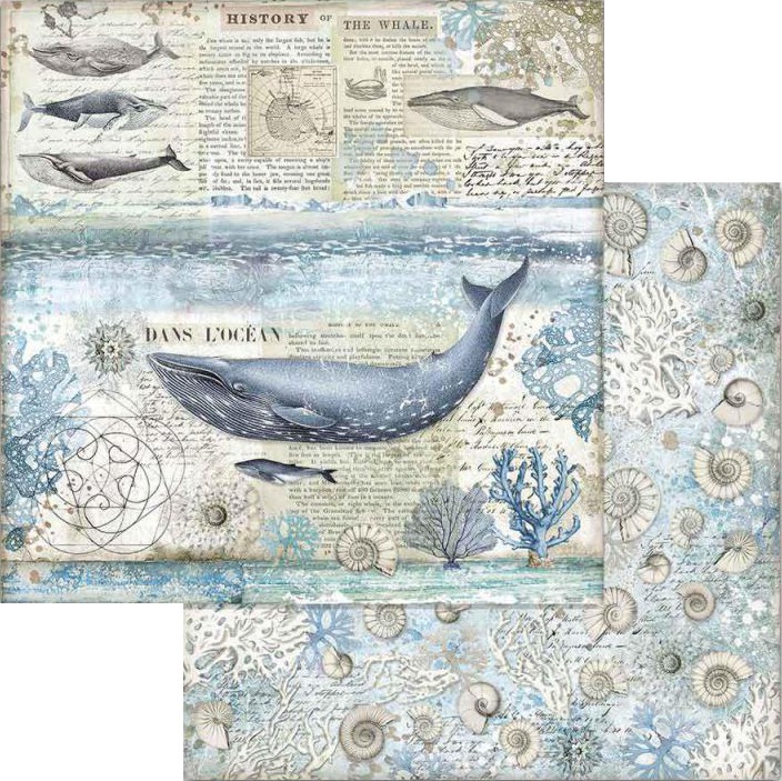������ �� ����������� Stamperia - ��� - 30.5 x 30.5 cm �� ���������� Arctic Antarctic - 