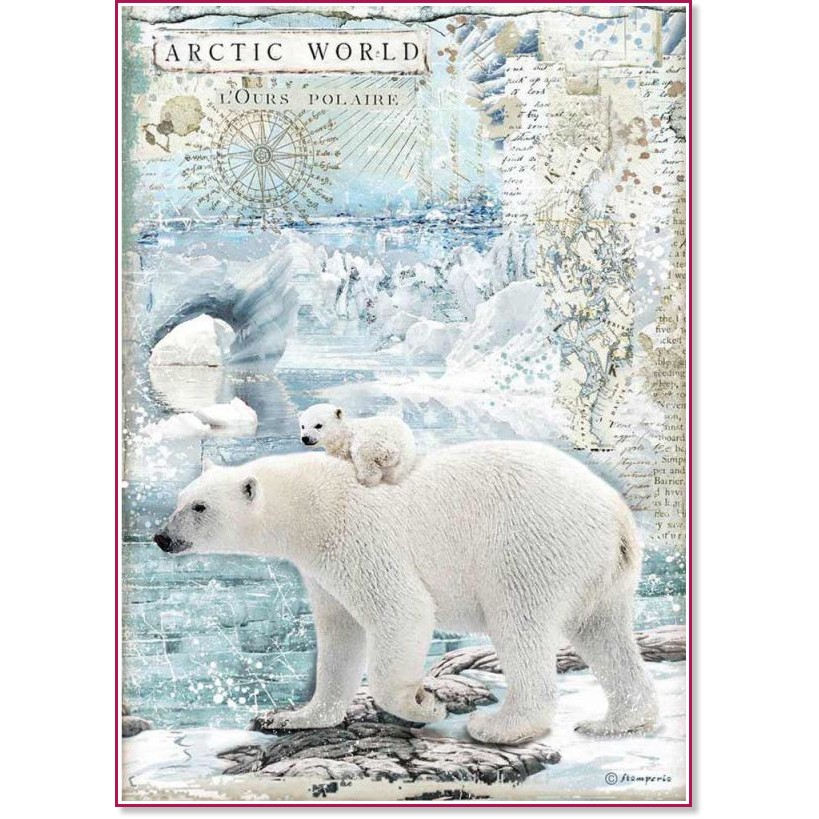 ��������� ������ Stamperia - ������� ����� - A4 �� ���������� Arctic Antarctic - 