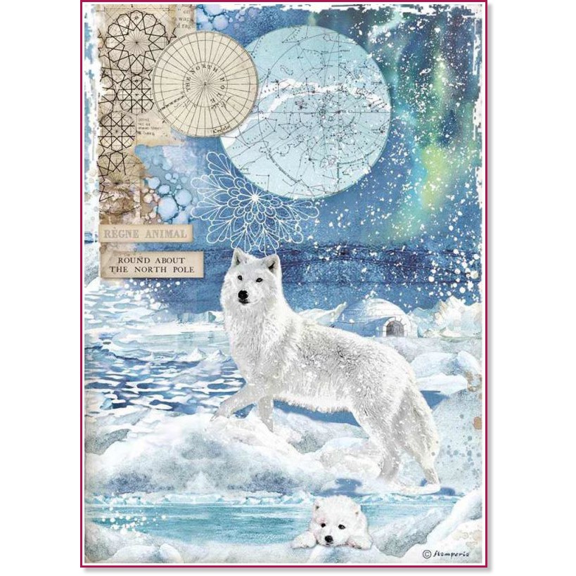 ��������� ������ Stamperia - ������� ������� - A4 �� ���������� Arctic Antarctic - 