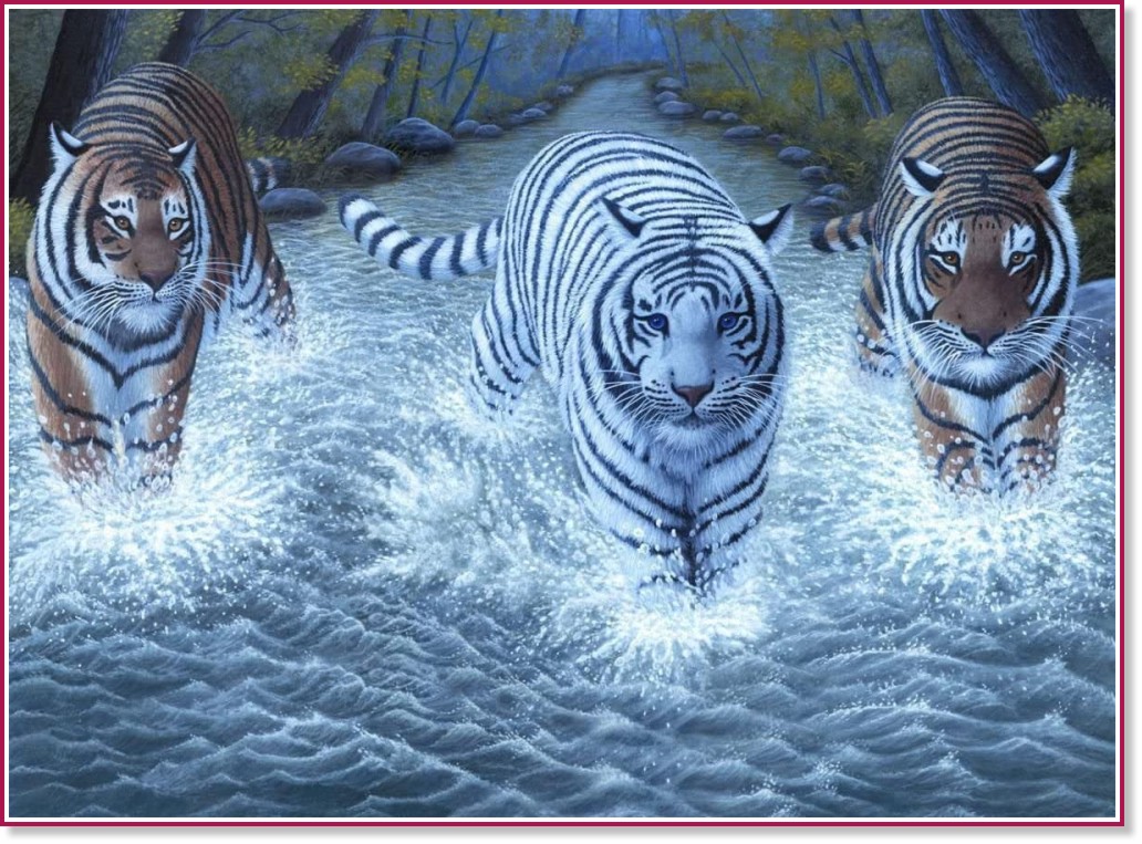 Рисуване по номера Royal & Langnickel - Тигри - 39 x 30 cm - 