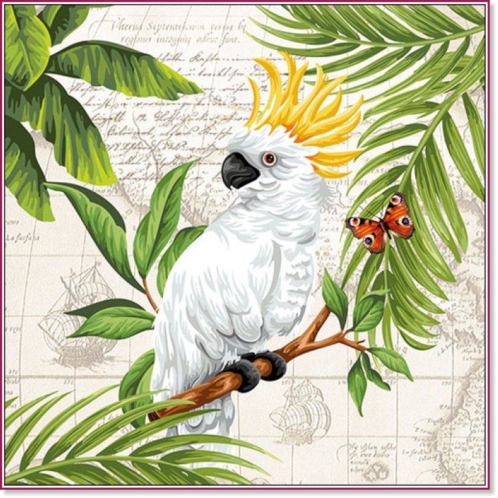    Ambiente -  - 20  - 