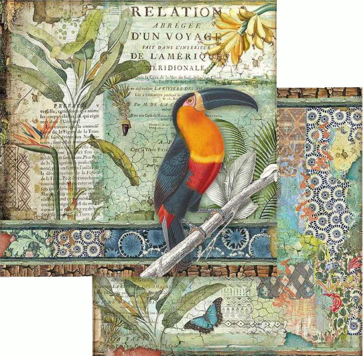 ������ �� ����������� Stamperia - ����� - 30.5 x 30.5 cm �� ���������� Amazonia - 