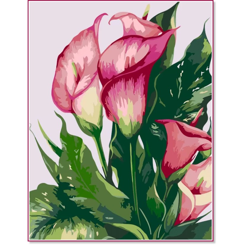 Рисуване по номера Rosa - Розови кали - 35 x 45 cm - 