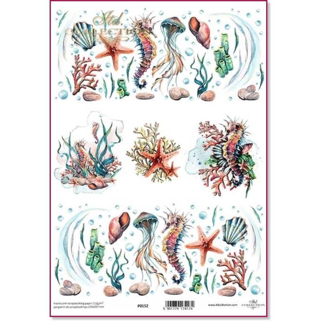 ������ �� ����������� ITD Collection - ������ ��������� - A4 - 