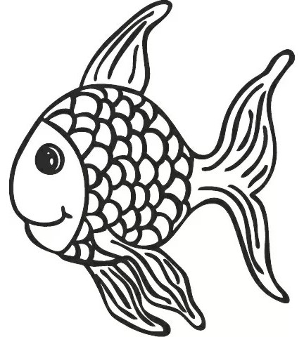  KPC Fish - 6.5 x 5.5 cm - 