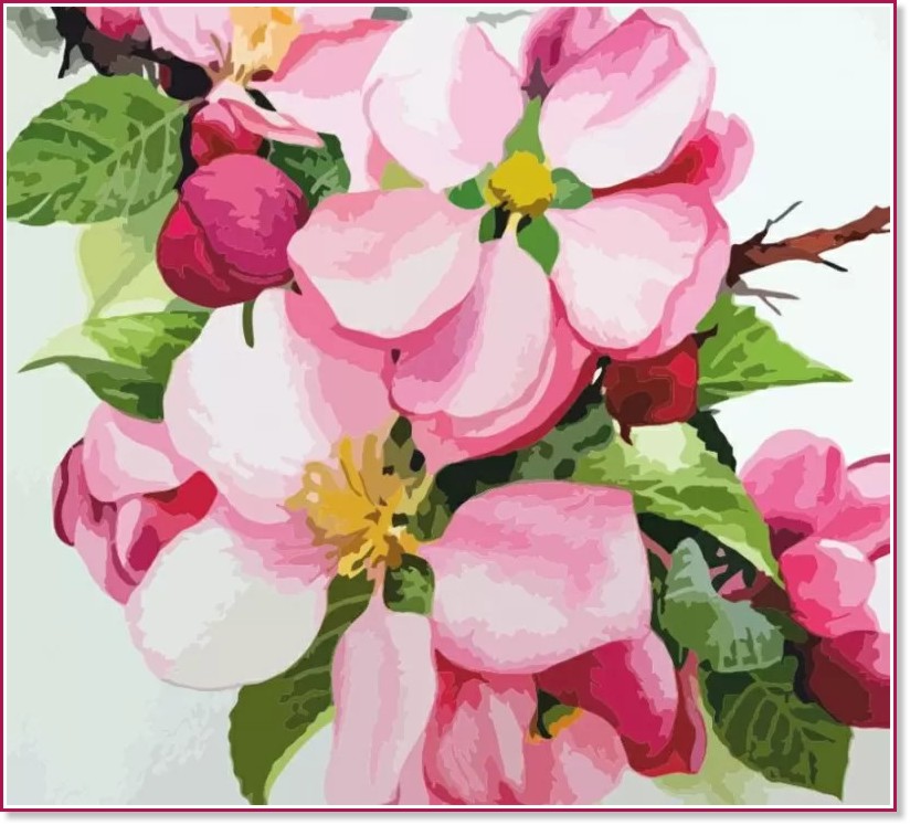Рисуване по номера Rosa - Ябълков цвят - 35 x 45 cm - 