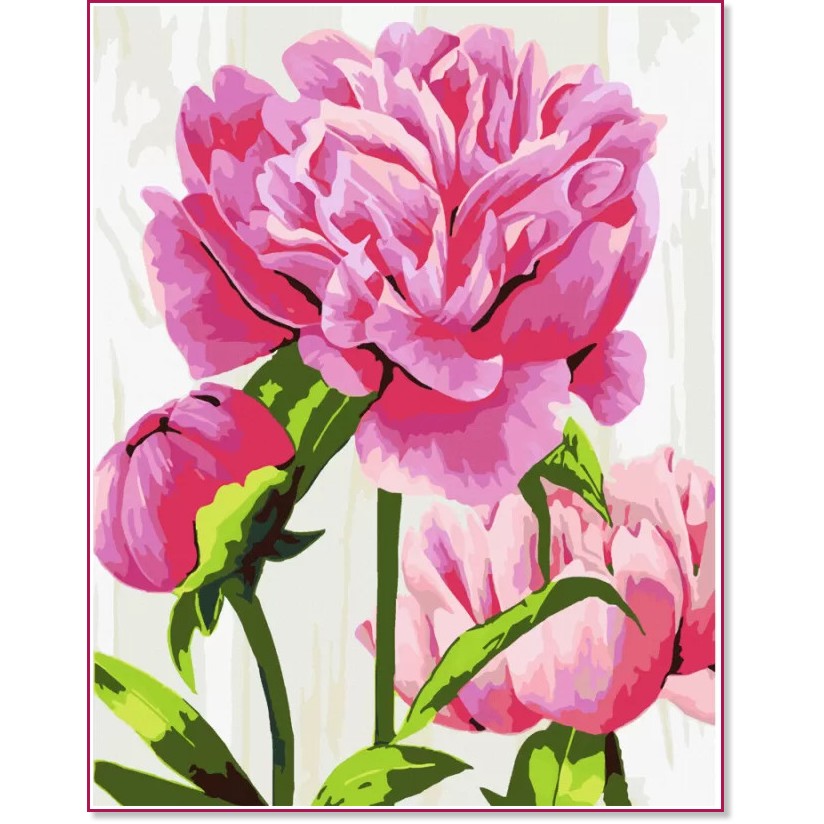    Rosa -  - 35 x 45 cm - 