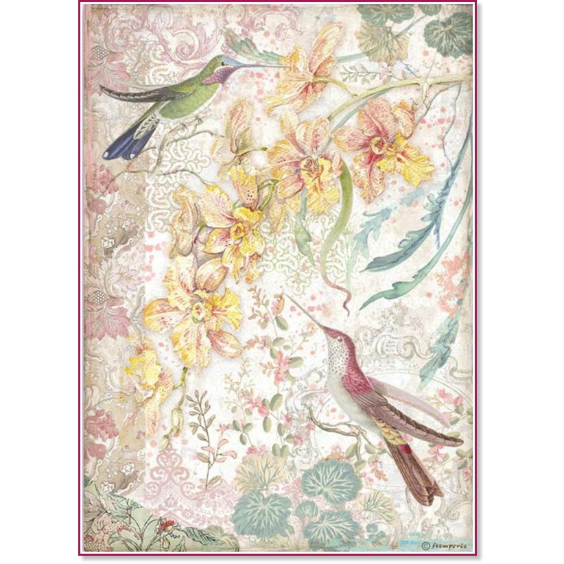 ��������� ������ Stamperia - ����� ������� � ������� - A4 �� ���������� Orchids and Cats - 