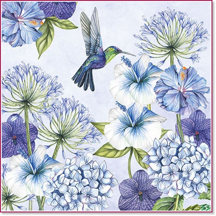    Ambiente Hummingbird - 20  - 