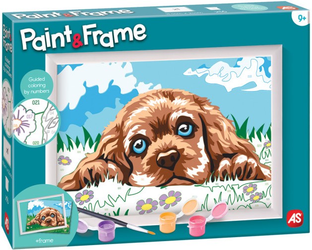    As Company Paint & Frame -  - 