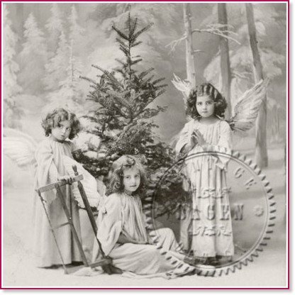    Sagen Vintage -    - 20  - 