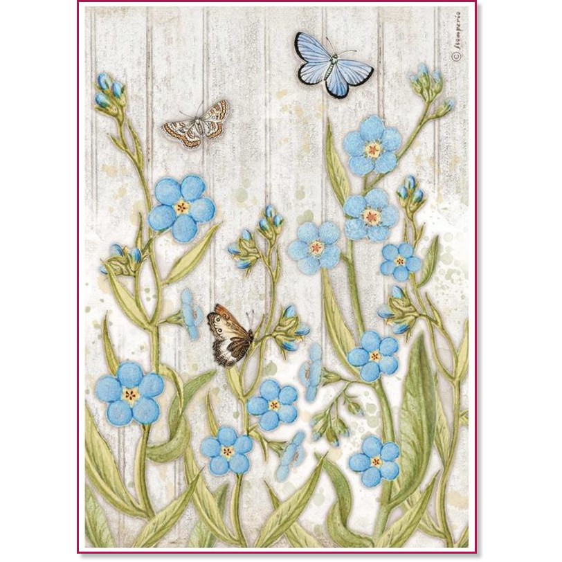 ��������� ������ Stamperia - ���� ����� � �������� - A4 �� ���������� Garden House - 