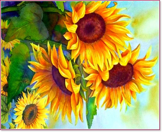�������� �� ������ NEWART - ����������� - 50 x 40 cm - 
