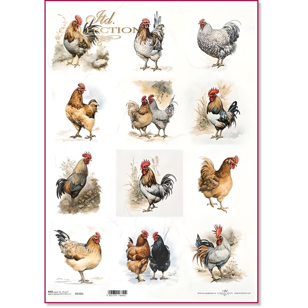 ��������� ������ ITD Collection - ����� - A3 - 