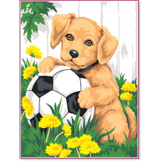 Рисуване по номера - Куче с топка - 20 x 30 cm - 