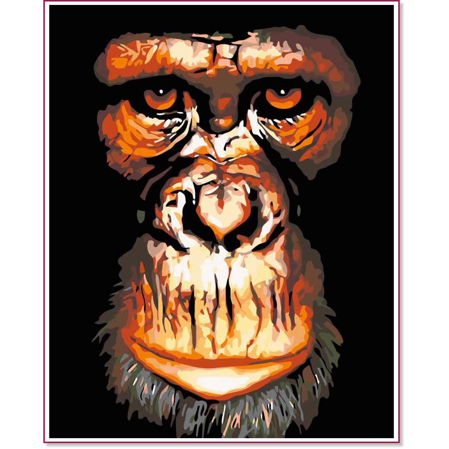 Рисуване по номера Foska - Шимпанзе - 40 x 50 cm - 