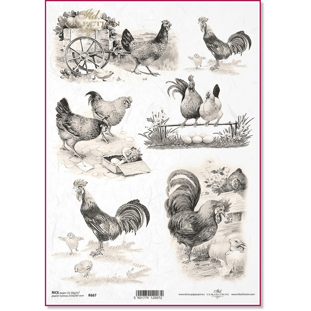   ITD Collection -    - A4 - 
